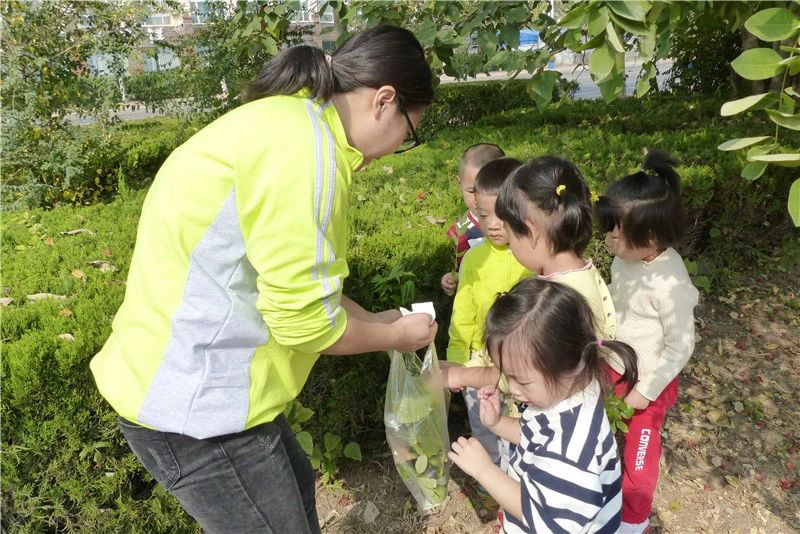 【教育部】《中共中央 国务院关于学前教育深化改革规范发展的若干意见》有关情况介绍